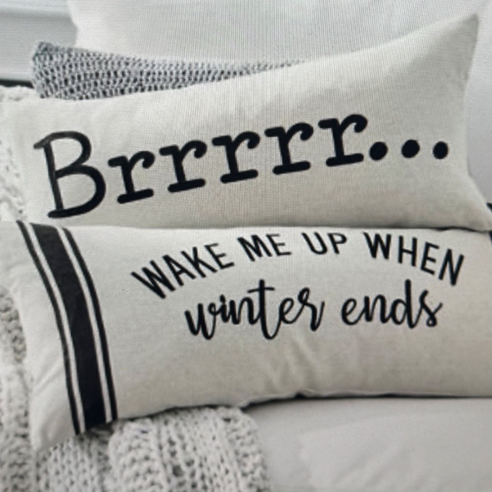 WAKE ME UP WHEN WINTER ENDS BY GRANDINROAD- Accent Pillow-NEW